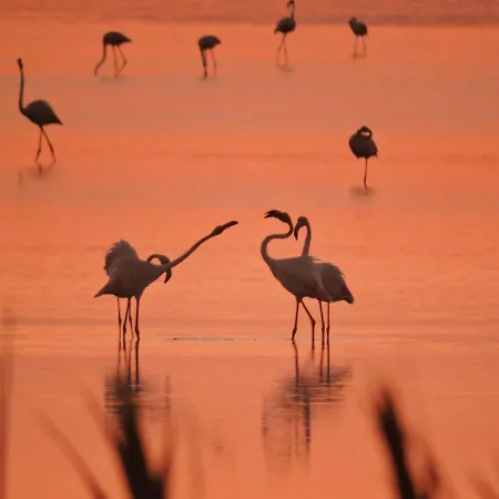 Lorena Отель 2*