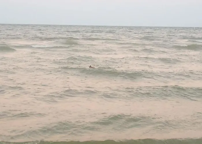 Отель Lorena 2*