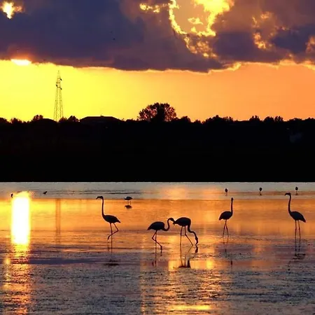 Lorena ホテル チェルヴィア