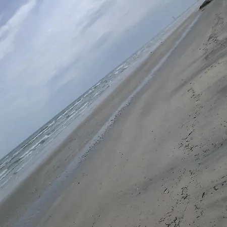 Lorena Cervia