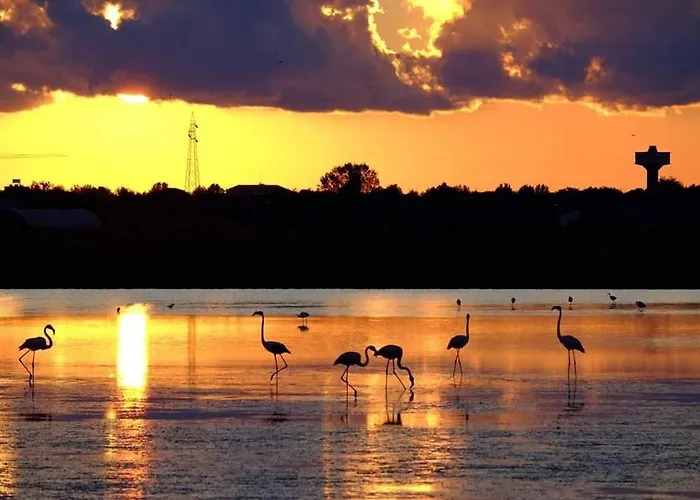 Lorena Hotell Cervia