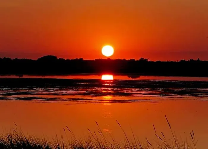 Lorena Cervia